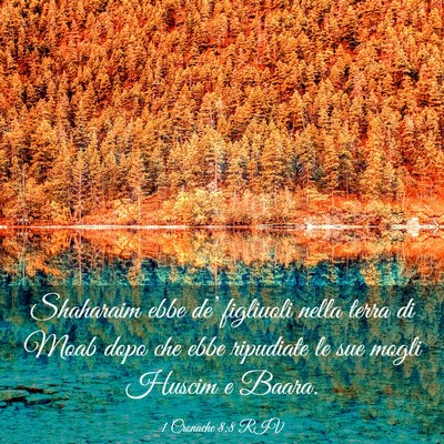 Picture 03 - 1 Cronache 8:8 RIV - Shaharaim ebbe de’ figliuoli nella terra di - Bible Verse Picture