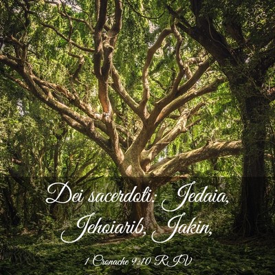 Picture 03 - 1 Cronache 9:10 RIV - Dei sacerdoti: Jedaia, Jehoiarib, - Bible Verse Picture