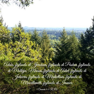 Picture 03 - 1 Cronache 9:12 RIV - Adaia, figliuolo di Jeroham, figliuolo di Pashur, - Bible Verse Picture