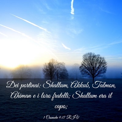 Picture 03 - 1 Cronache 9:17 RIV - Dei portinai: Shallum, Akkub, Talmon, Ahiman e i - Bible Verse Picture