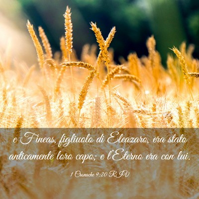 Picture 03 - 1 Cronache 9:20 RIV - e Fineas, figliuolo di Eleazaro, era stato - Bible Verse Picture