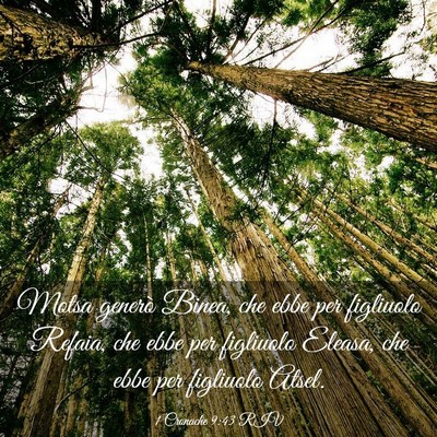 Picture 03 - 1 Cronache 9:43 RIV - Motsa generò Binea, che ebbe per figliuolo - Bible Verse Picture