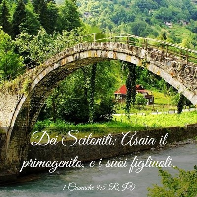 Picture 03 - 1 Cronache 9:5 RIV - Dei Sciloniti: Asaia il primogenito, e i suoi - Bible Verse Picture