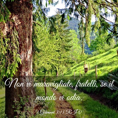 Picture 03 - 1 Giovanni 3:13 RIV - Non vi maravigliate, fratelli, se il mondo vi - Bible Verse Picture