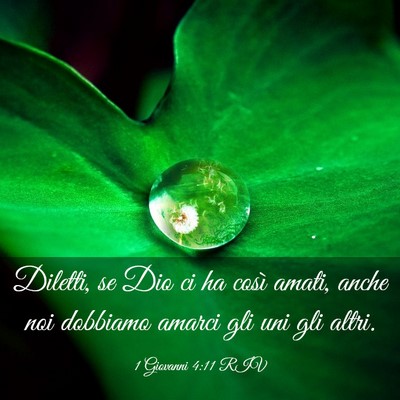 Picture 03 - 1 Giovanni 4:11 RIV - Diletti, se Dio ci ha così amati, anche noi - Bible Verse Picture