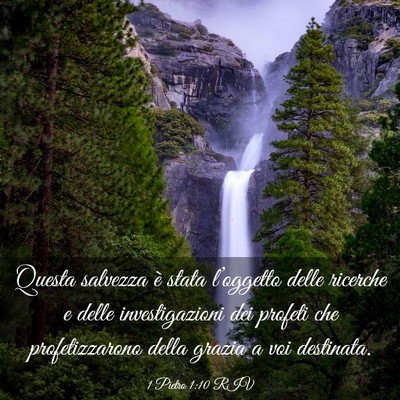 Picture 03 - 1 Pietro 1:10 RIV - Questa salvezza è stata l’oggetto delle - Bible Verse Picture