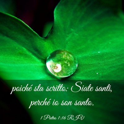 Picture 03 - 1 Pietro 1:16 RIV - poiché sta scritto: Siate santi, perché io son - Bible Verse Picture