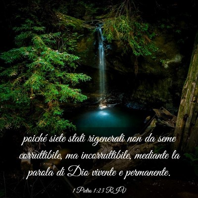 Picture 03 - 1 Pietro 1:23 RIV - poiché siete stati rigenerati non da seme - Bible Verse Picture