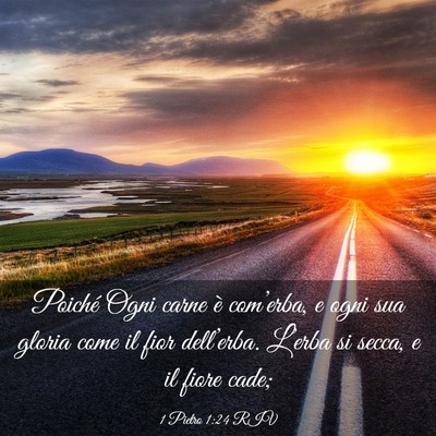 Picture 03 - 1 Pietro 1:24 RIV - Poiché Ogni carne è com’erba, e ogni sua - Bible Verse Picture