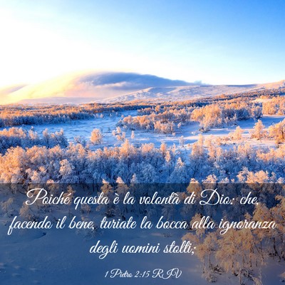 Picture 03 - 1 Pietro 2:15 RIV - Poiché questa è la volontà di Dio: che, - Bible Verse Picture