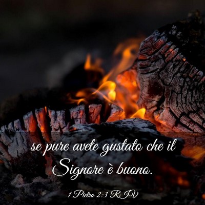 Picture 03 - 1 Pietro 2:3 RIV - se pure avete gustato che il Signore è - Bible Verse Picture