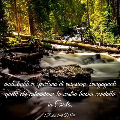 Picture 03 - 1 Pietro 3:16 RIV - onde laddove sparlano di voi, siano svergognati - Bible Verse Picture