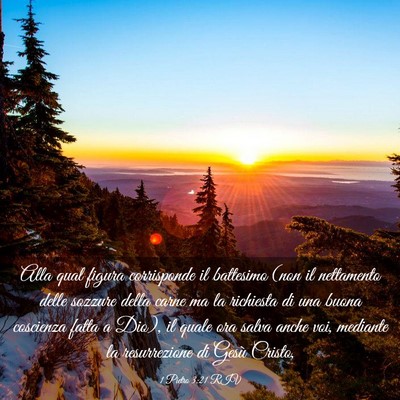 Picture 03 - 1 Pietro 3:21 RIV - Alla qual figura corrisponde il battesimo (non il - Bible Verse Picture