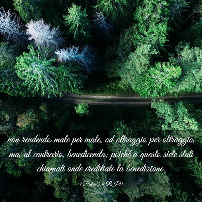 Picture 03 - 1 Pietro 3:9 RIV - non rendendo male per male, od oltraggio per - Bible Verse Picture