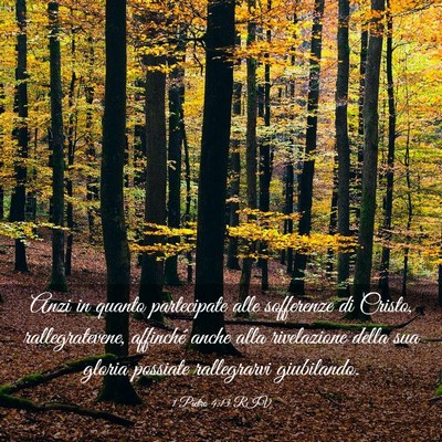 Picture 03 - 1 Pietro 4:13 RIV - Anzi in quanto partecipate alle sofferenze di - Bible Verse Picture