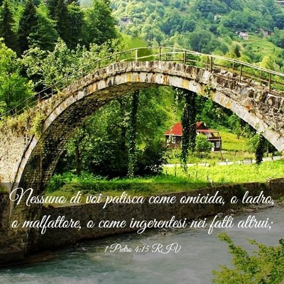 Picture 03 - 1 Pietro 4:15 RIV - Nessuno di voi patisca come omicida, o ladro, o - Bible Verse Picture