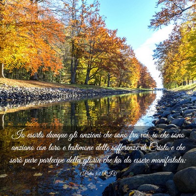Picture 03 - 1 Pietro 5:1 RIV - Io esorto dunque gli anziani che sono fra voi, io - Bible Verse Picture