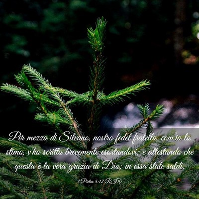 Picture 03 - 1 Pietro 5:12 RIV - Per mezzo di Silvano, nostro fedel fratello, - Bible Verse Picture
