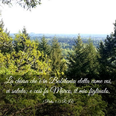 Picture 03 - 1 Pietro 5:13 RIV - La chiesa che è in Babilonia eletta come voi, vi - Bible Verse Picture