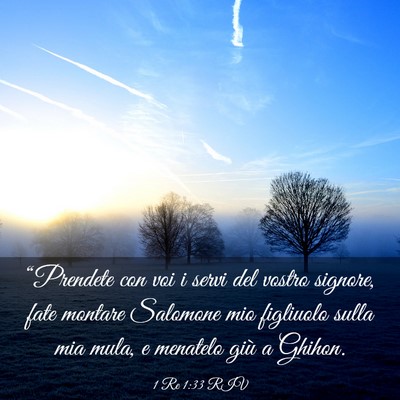 Picture 03 - 1 Re 1:33 RIV - “Prendete con voi i servi del vostro signore, - Bible Verse Picture