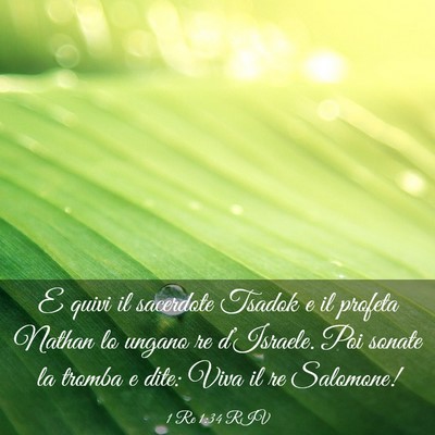 Picture 03 - 1 Re 1:34 RIV - E quivi il sacerdote Tsadok e il profeta Nathan - Bible Verse Picture