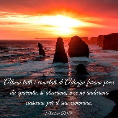Picture 03 - 1 Re 1:49 RIV - Allora tutti i convitati di Adonija furono presi - Bible Verse Picture