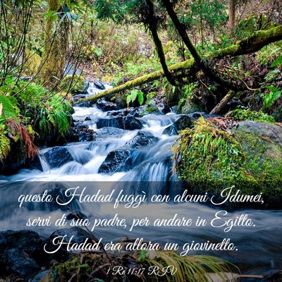 Picture 03 - 1 Re 11:17 RIV - questo Hadad fuggì con alcuni Idumei, servi di - Bible Verse Picture