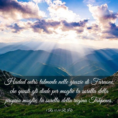 Picture 03 - 1 Re 11:19 RIV - Hadad entrò talmente nelle grazie di Faraone, - Bible Verse Picture
