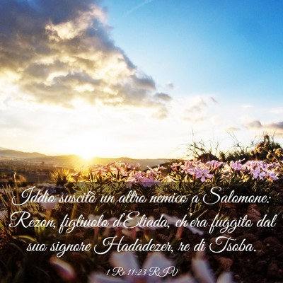 Picture 03 - 1 Re 11:23 RIV - Iddio suscitò un altro nemico a Salomone: Rezon, - Bible Verse Picture