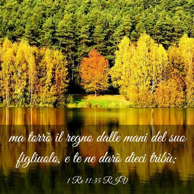 Picture 03 - 1 Re 11:35 RIV - ma torrò il regno dalle mani del suo figliuolo, - Bible Verse Picture