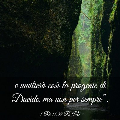 Picture 03 - 1 Re 11:39 RIV - e umilierò così la progenie di Davide, ma non - Bible Verse Picture