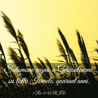 Picture 03 - 1 Re 11:42 RIV - Salomone regnò a Gerusalemme, su tutto Israele, - Bible Verse Picture
