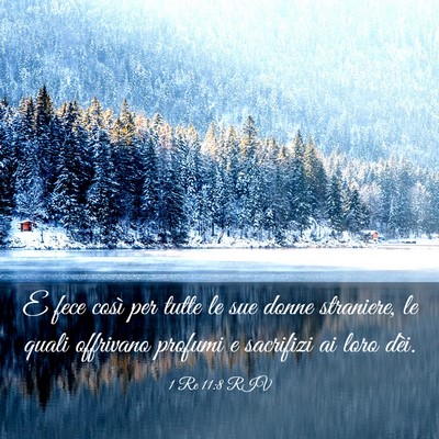 Picture 03 - 1 Re 11:8 RIV - E fece così per tutte le sue donne straniere, le - Bible Verse Picture