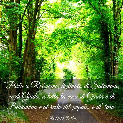Picture 03 - 1 Re 12:23 RIV - “Parla a Roboamo, figliuolo di Salomone, re di - Bible Verse Picture