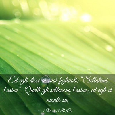 Picture 03 - 1 Re 13:13 RIV - Ed egli disse ai suoi figliuoli: “Sellatemi - Bible Verse Picture