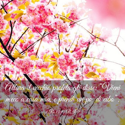 Picture 03 - 1 Re 13:15 RIV - Allora il vecchio profeta gli disse: “Vieni - Bible Verse Picture