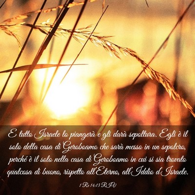 Picture 03 - 1 Re 14:13 RIV - E tutto Israele lo piangerà e gli darà - Bible Verse Picture