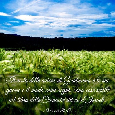 Picture 03 - 1 Re 14:19 RIV - Il resto delle azioni di Geroboamo e le sue - Bible Verse Picture