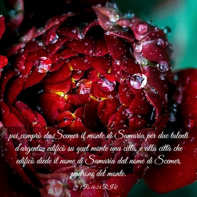 Picture 03 - 1 Re 16:24 RIV - poi comprò da Scemer il monte di Samaria per due - Bible Verse Picture