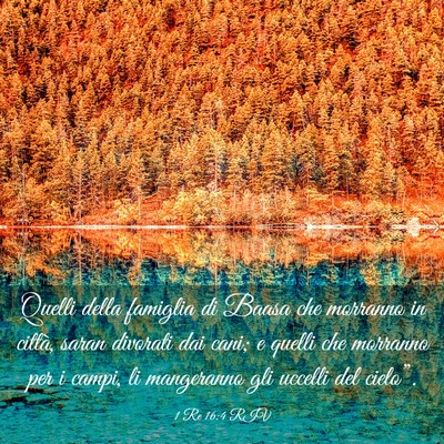 Picture 03 - 1 Re 16:4 RIV - Quelli della famiglia di Baasa che morranno in - Bible Verse Picture