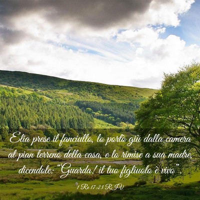 Picture 03 - 1 Re 17:23 RIV - Elia prese il fanciullo, lo portò giù dalla - Bible Verse Picture
