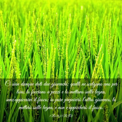 Picture 03 - 1 Re 18:23 RIV - Ci sian dunque dati due giovenchi; quelli ne - Bible Verse Picture