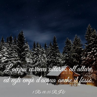 Picture 03 - 1 Re 18:35 RIV - L’acqua correva attorno all’altare, ed egli - Bible Verse Picture