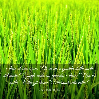 Picture 03 - 1 Re 18:43 RIV - e disse al suo servo: “Or va su, e guarda dalla - Bible Verse Picture