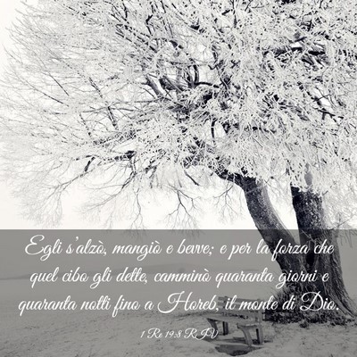 Picture 03 - 1 Re 19:8 RIV - Egli s’alzò, mangiò e bevve; e per la forza - Bible Verse Picture