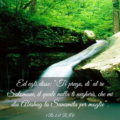 Picture 03 - 1 Re 2:17 RIV - Ed egli disse: “Ti prego, di’ al re Salomone, - Bible Verse Picture