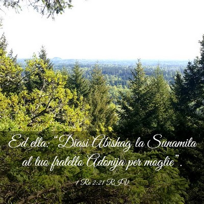 Picture 03 - 1 Re 2:21 RIV - Ed ella: “Diasi Abishag la Sunamita al tuo - Bible Verse Picture