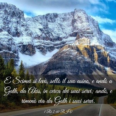 Picture 03 - 1 Re 2:40 RIV - E Scimei si levò, sellò il suo asino, e andò a - Bible Verse Picture