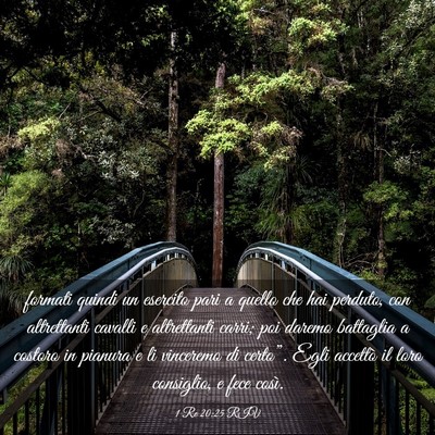 Picture 03 - 1 Re 20:25 RIV - formati quindi un esercito pari a quello che hai - Bible Verse Picture