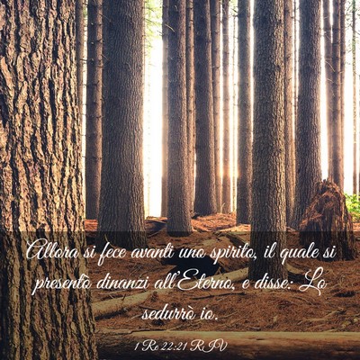 Picture 03 - 1 Re 22:21 RIV - Allora si fece avanti uno spirito, il quale si - Bible Verse Picture